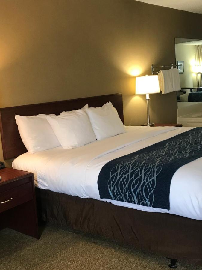 Comfort Inn Cambridge Εξωτερικό φωτογραφία