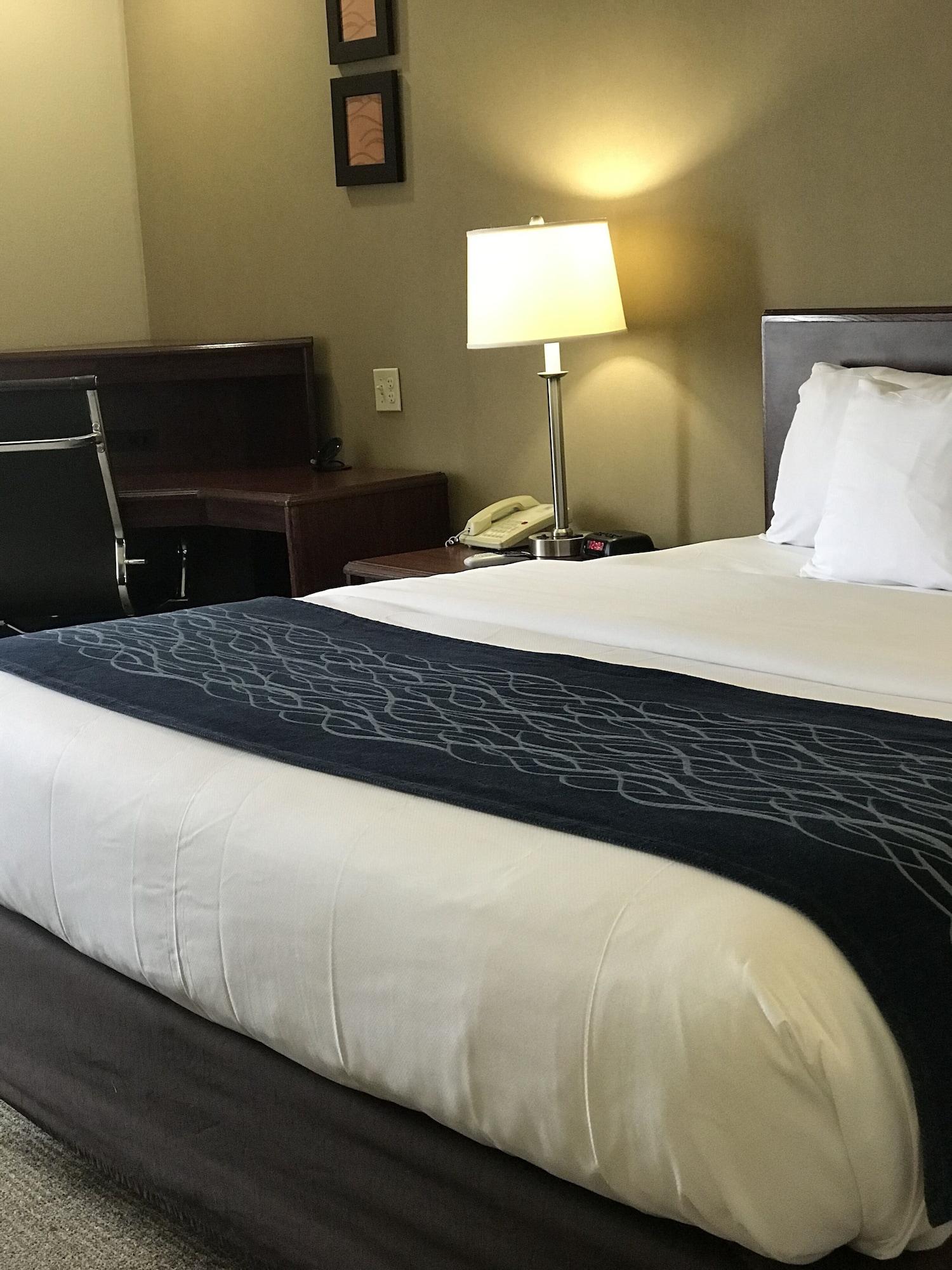 Comfort Inn Cambridge Εξωτερικό φωτογραφία