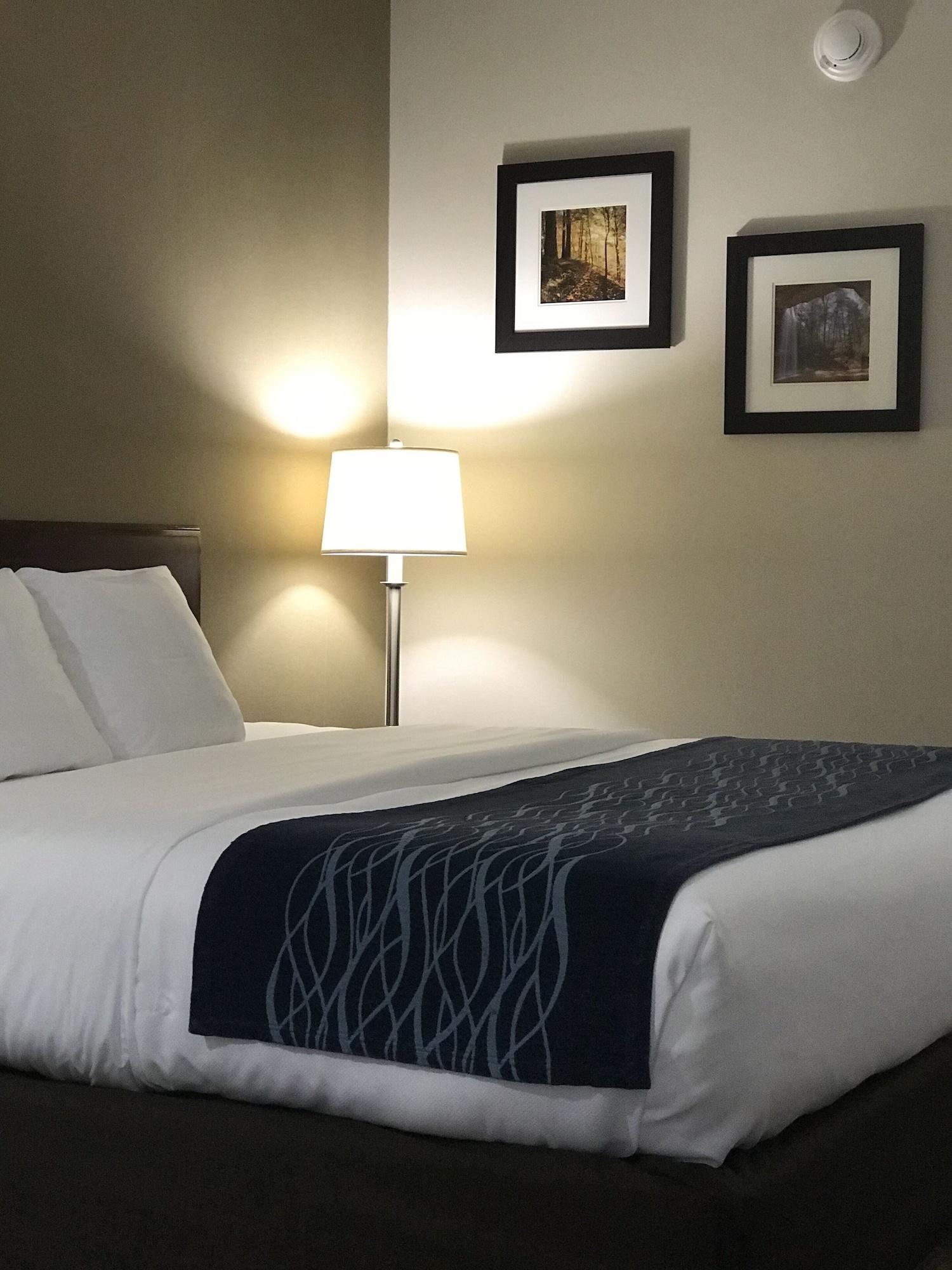 Comfort Inn Cambridge Εξωτερικό φωτογραφία